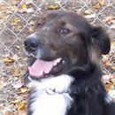 Rudy was adopted in March, 2008
